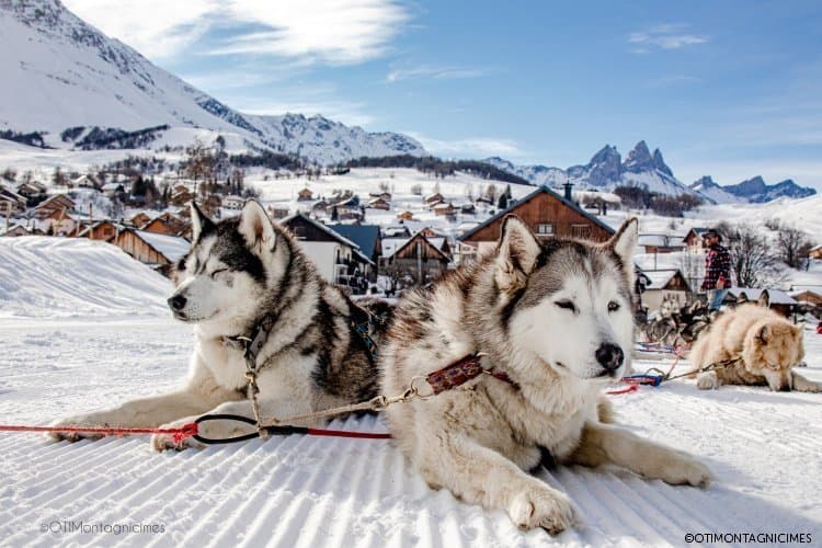 Balade en chiens de traîneau à Albiez-Montrond